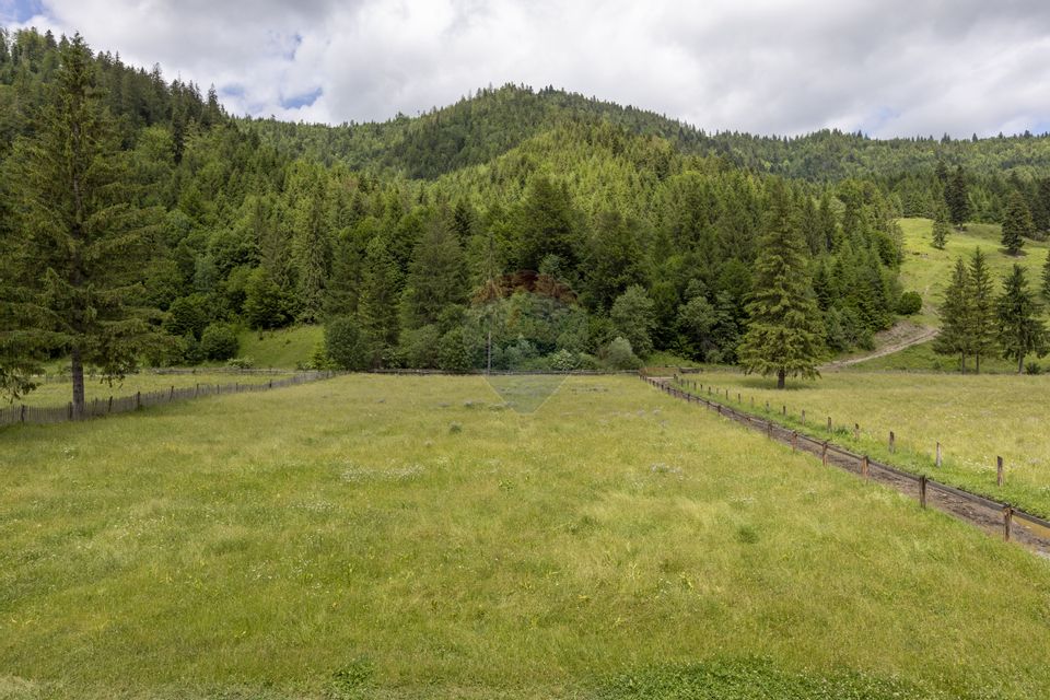 Fermă de vânzare, teren 21436 mp intravilan, Coșnea, Agăș