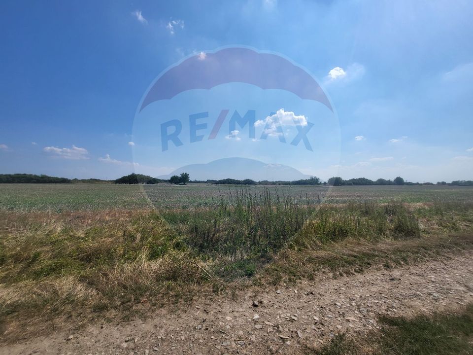 Land 31,800sqm Arad / DN ARAD-PECICA