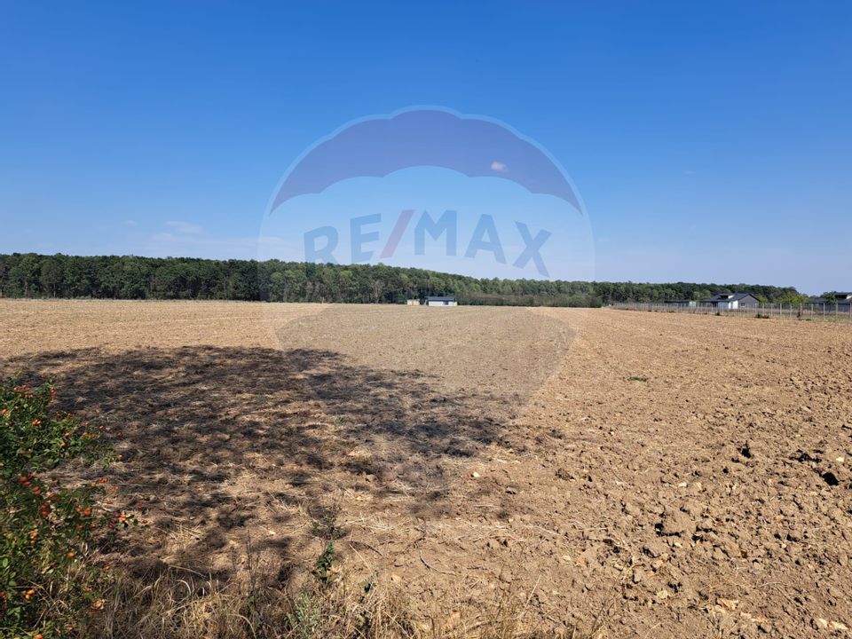 Land 4,500sqm Izvorani / Strada Complexul Olimpic