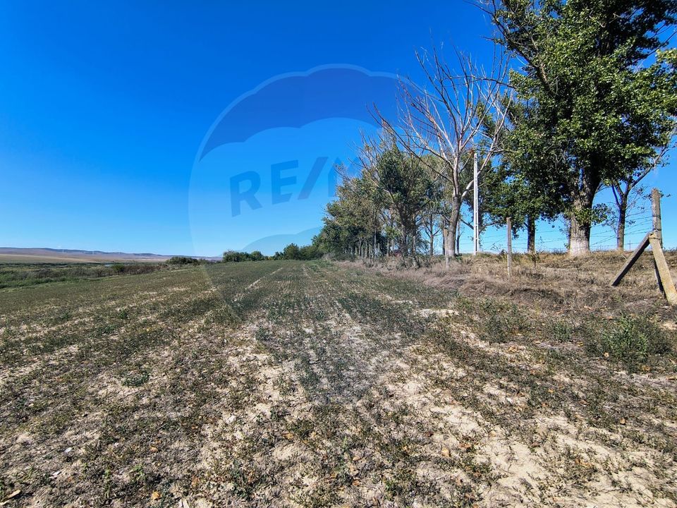 Teren extravilan de vanzare in Tulcea