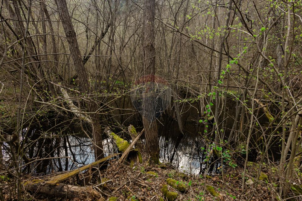 Proprietate unică în Tarcău – 30.283 mp intravilan, casă P+M