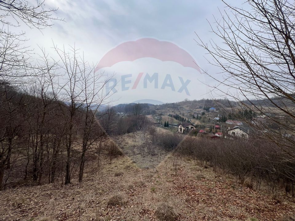 Land 500sqm Margineni / None