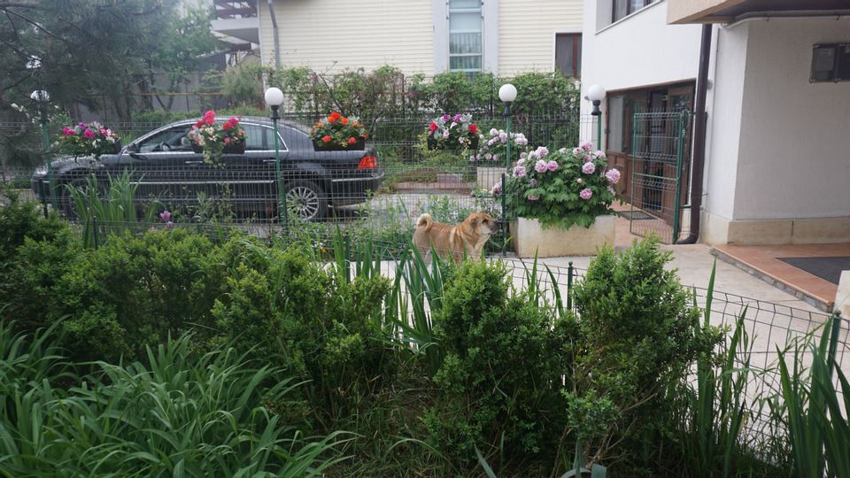 7 room House / Villa for sale