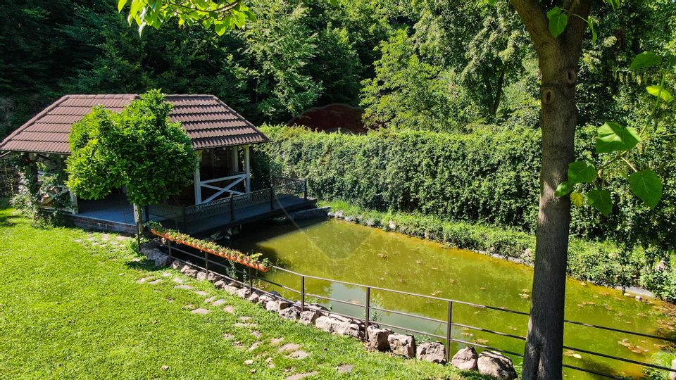 Casă / Vilă cu 11 camere de vânzare în zona Precista