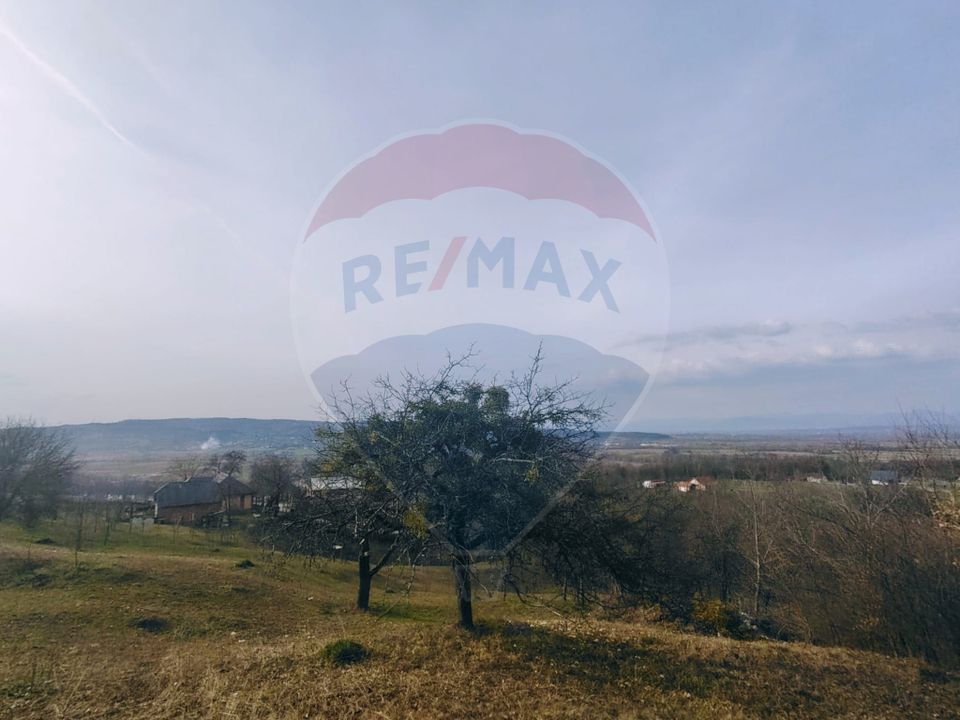 Teren intravilan generos 3.206 mp în Remecioara | Priveliște deosebită