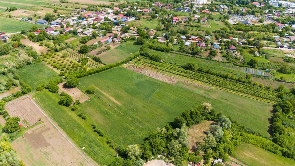 Teren 10,000mp Negresti / Strada Noua