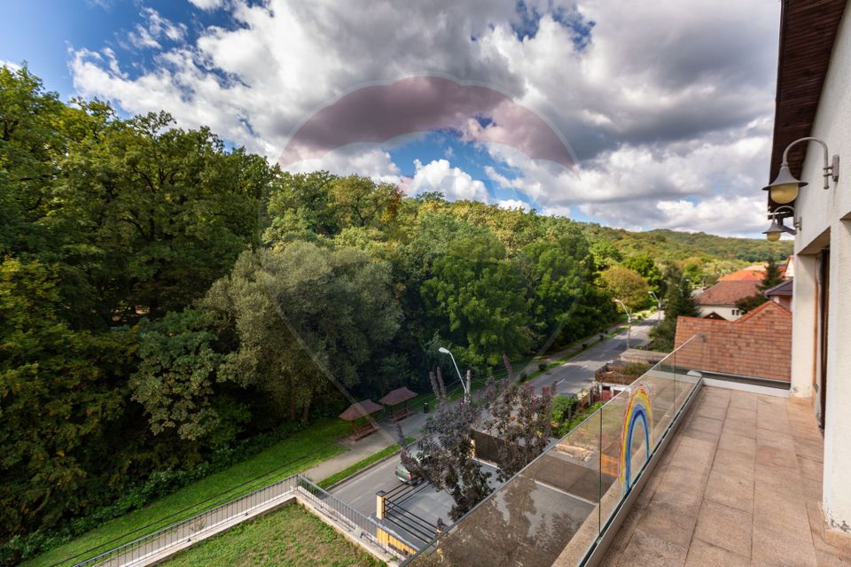 Casă spectaculoasă în Mediaș – reședința antrenorului Cristi Pustai