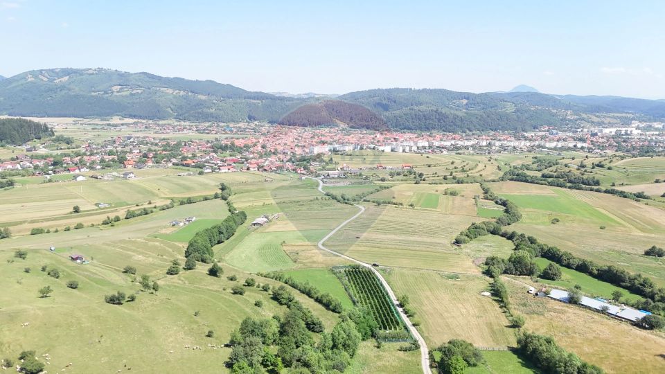 Land 2,432sqm Zarnesti / Strada fara nume