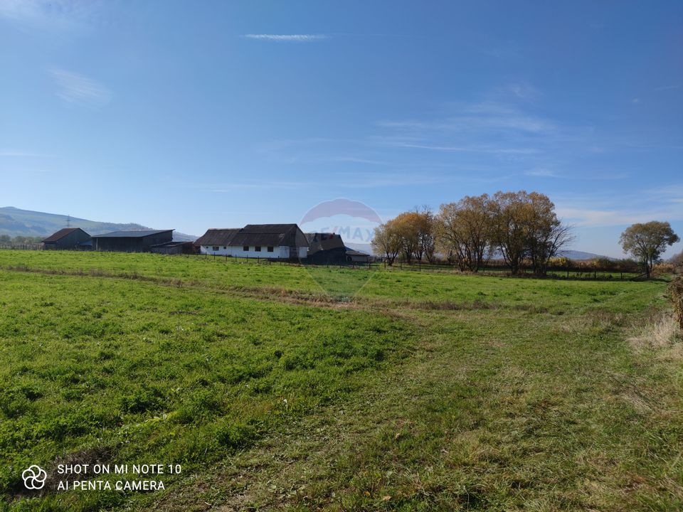 Land 30,000sqm Brateiu / Drumul Fara nume