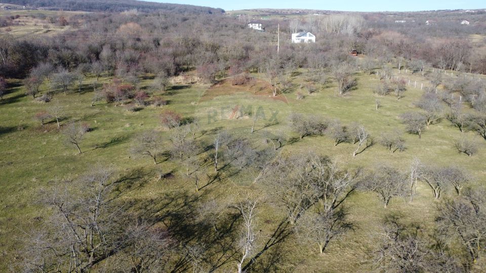 Teren 20.146 mp Dâmbu Rotund (Lomb).Extravilan.Potențial rezidențial