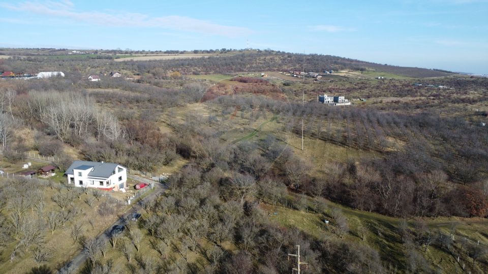 Teren 20.146 mp Dâmbu Rotund (Lomb).Extravilan.Potențial rezidențial