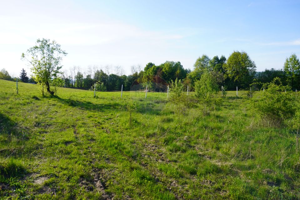 Land 38,592sqm Sighetu Marmatiei / Strada Mocăniței