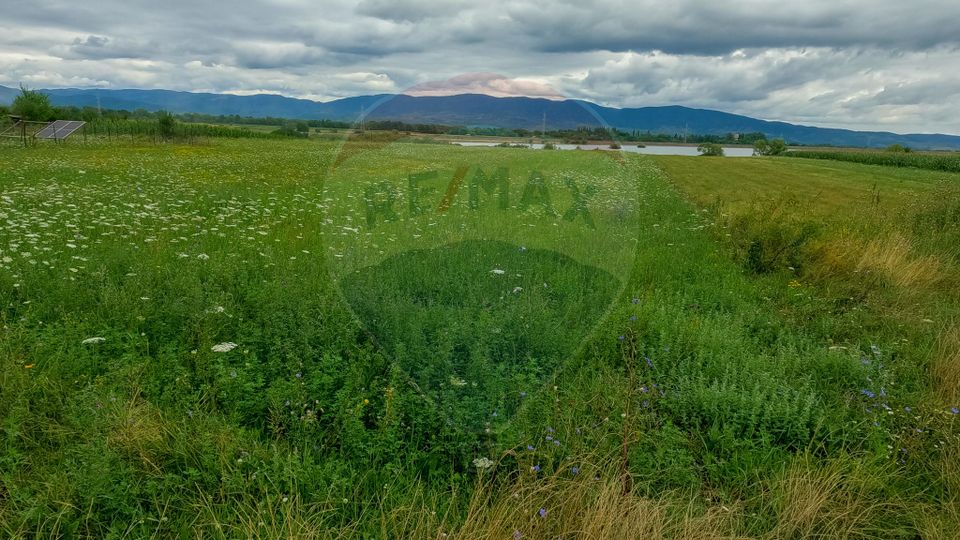 Teren superb Unciuc / jud.Hunedoara