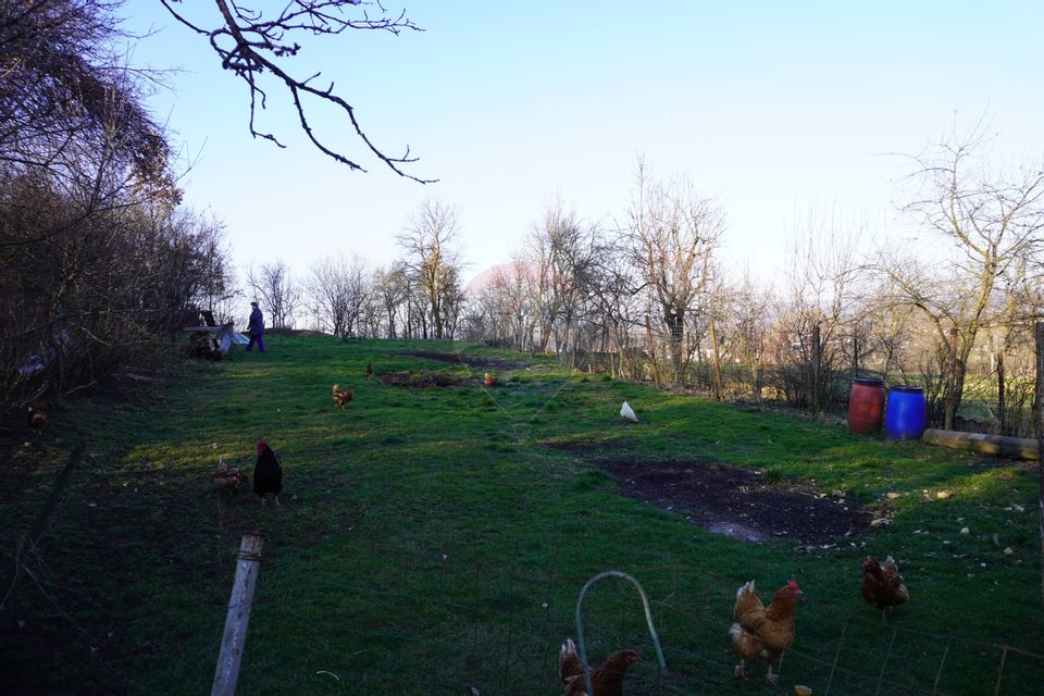 Proprietate cu 2 Case și Teren Generos – Str. Câmpu Negru