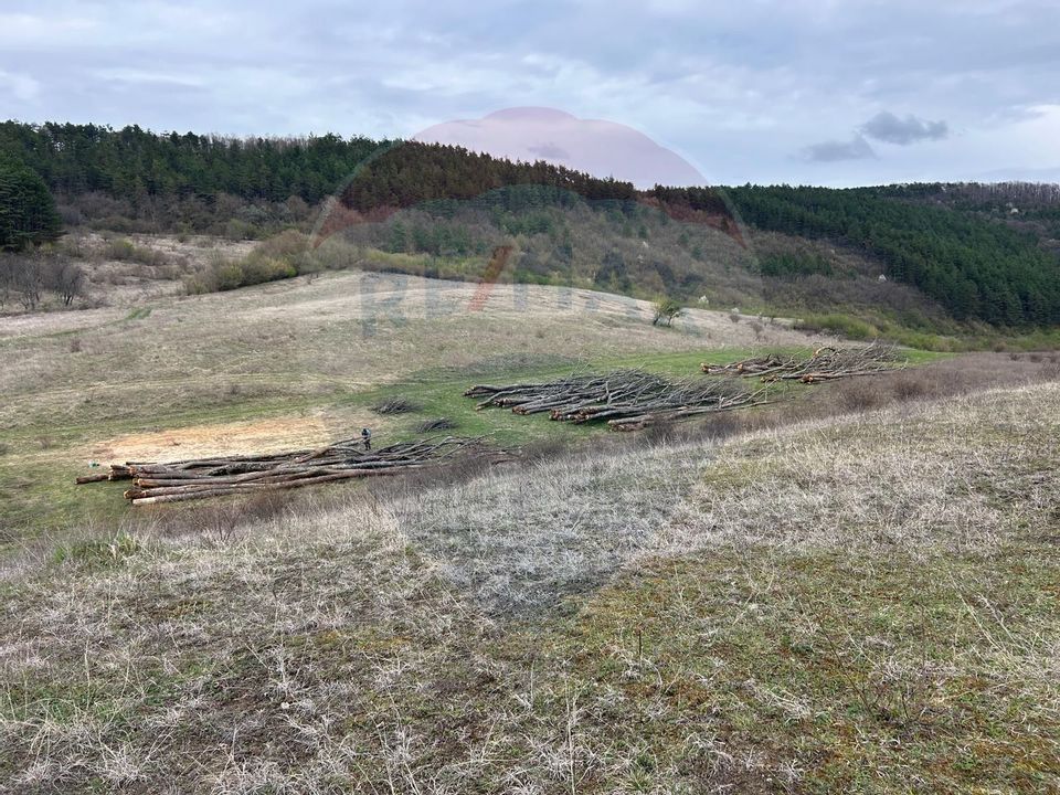 Teren de vânzare - 207.000 mp în Benesat, cu panoramă  spectaculoasă.