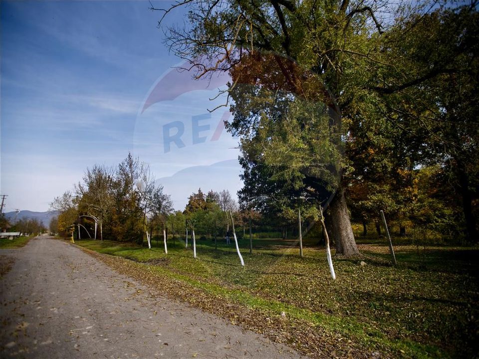 Domeniu Baronial de vanzare in localitatea CIL , Judet Arad