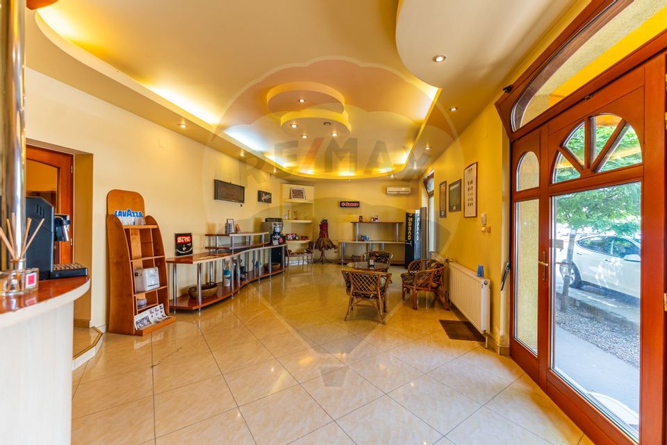 11 room House / Villa for sale, Central area