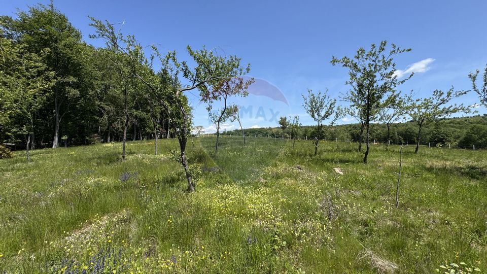 TEREN DE VANZARE SE ACCEPTA SCHIMB CU PROPRIETATI ÎN ORAS