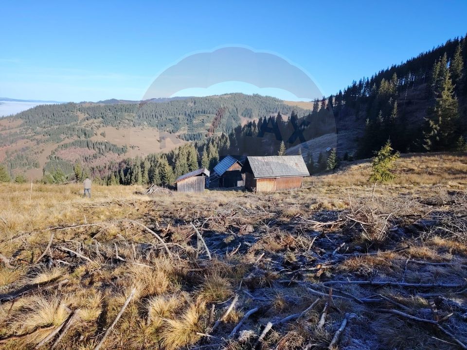 Teren 31,461mp Panaci / Prelungirea Ialovita