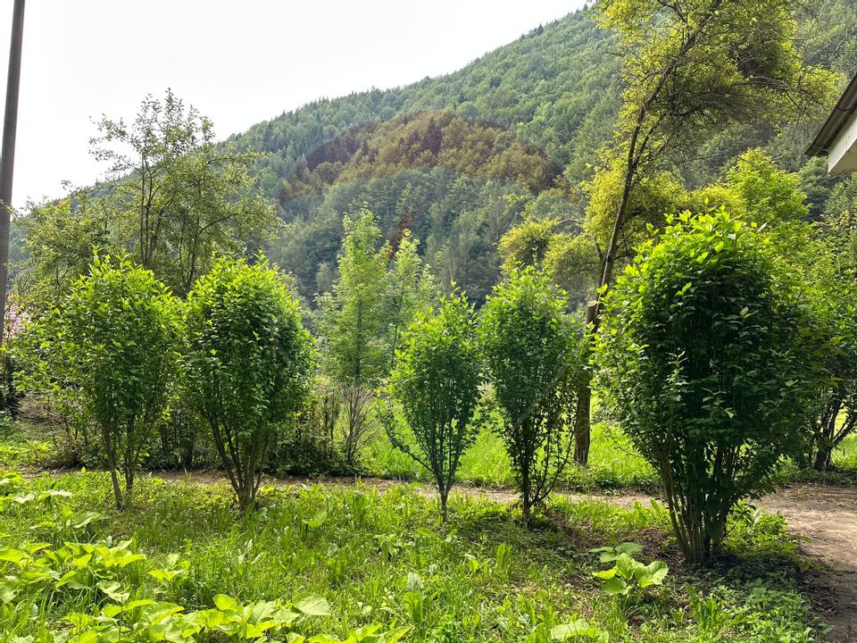 Casă / Vilă cu 5 camere de vânzare