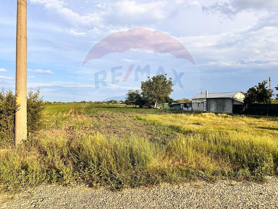 Land 9,100sqm Racari / Strada Gaterului