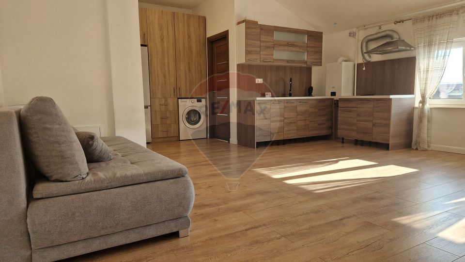 1 room Apartment for rent