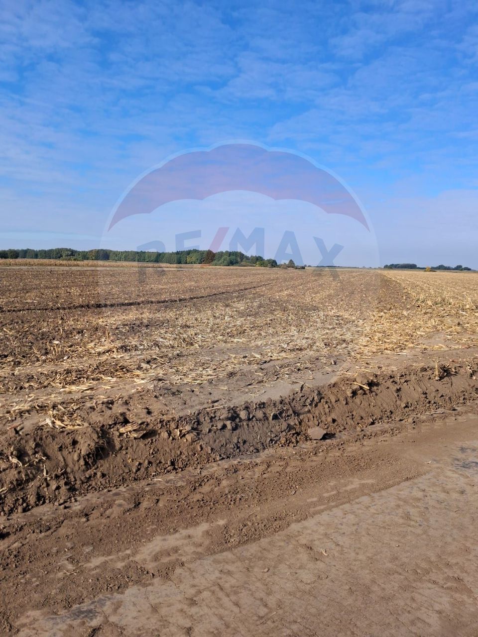 Teren 21,177mp Santaul Mic / Strada -