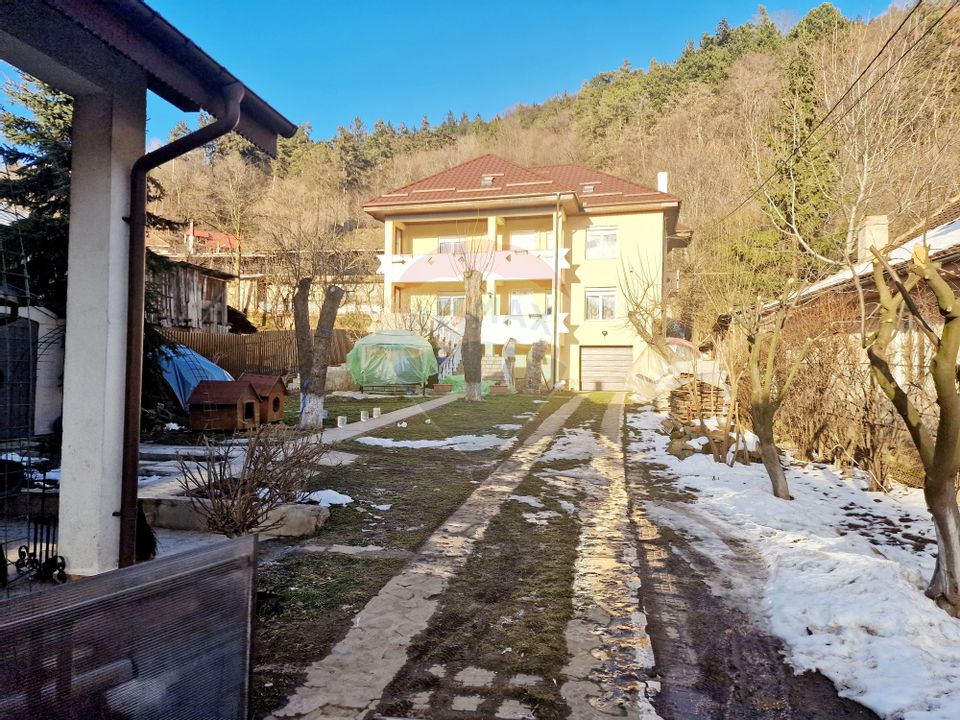 Doua case in zona Centrala, Piatra Neamt