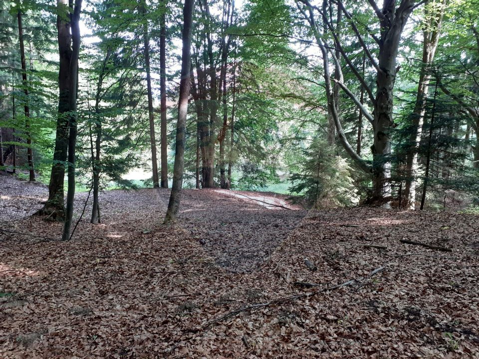 Land 2,000sqm Rasnov / Strada Glajerie