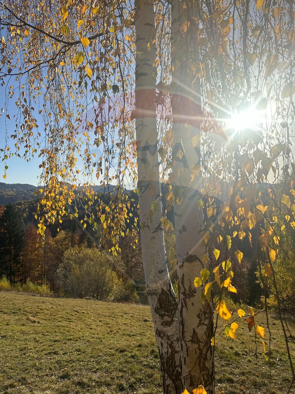 Investment opportunity ! Dream land in Pestera - 125,370 sqm