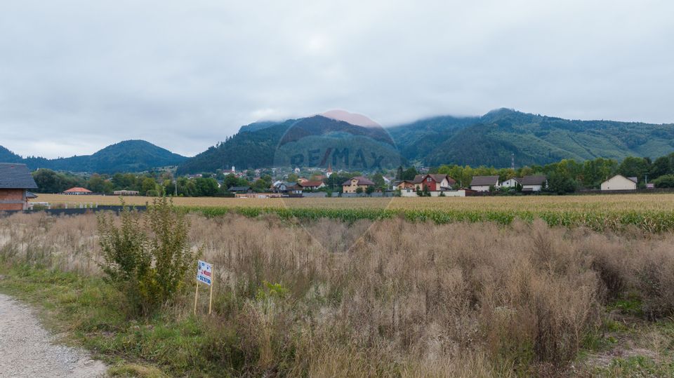 Un lot de casa intrare Sacele 790 mp + 3 loturi de 440mp