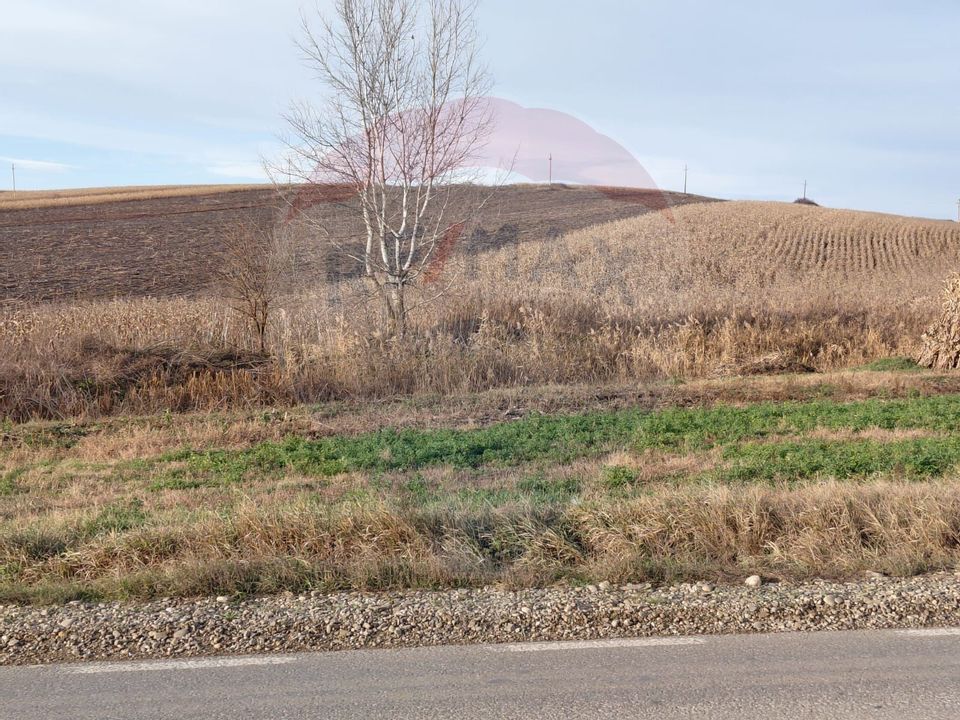Teren extravilan 800 mp com. Secuieni, jud. Bacău