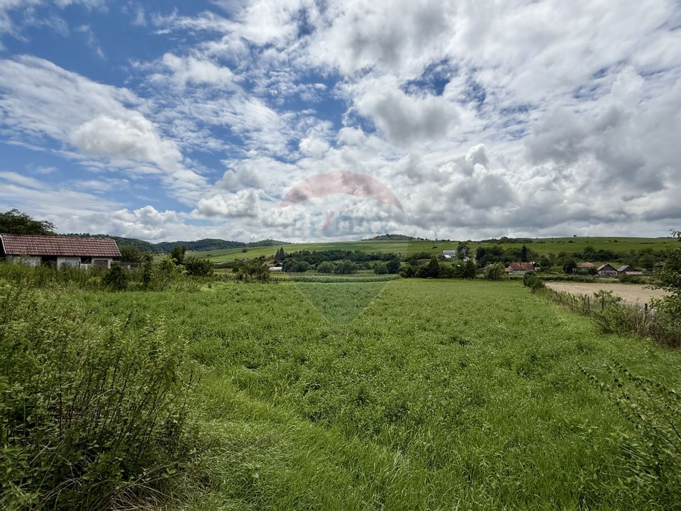 Teren 3200 mp I intravilan I Certificat Urbanism I Aschileu Mic