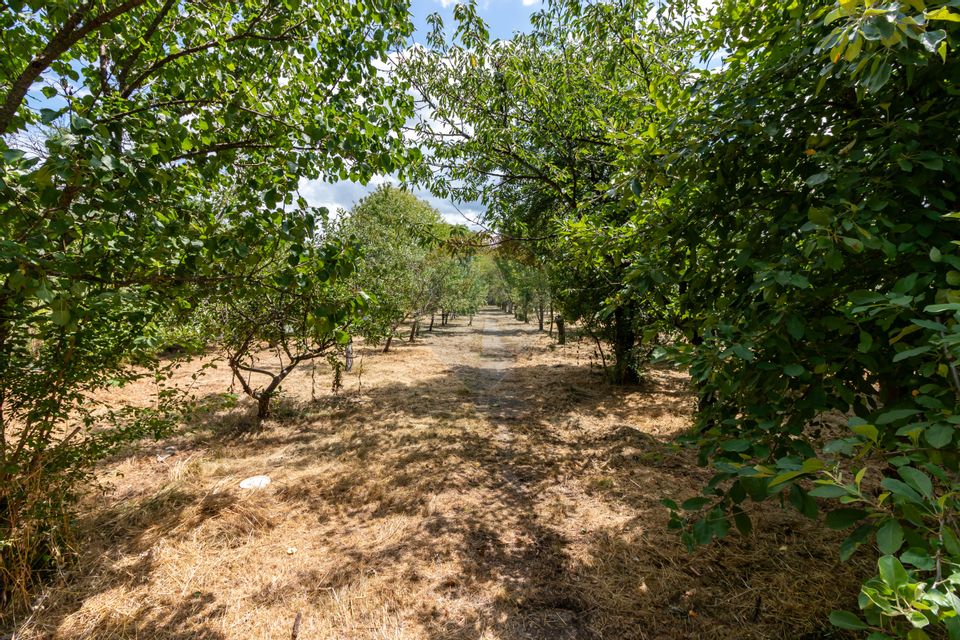 Snagov Villa for Sale | Pool, Orchard, 8 Rooms | 3077 sqm land