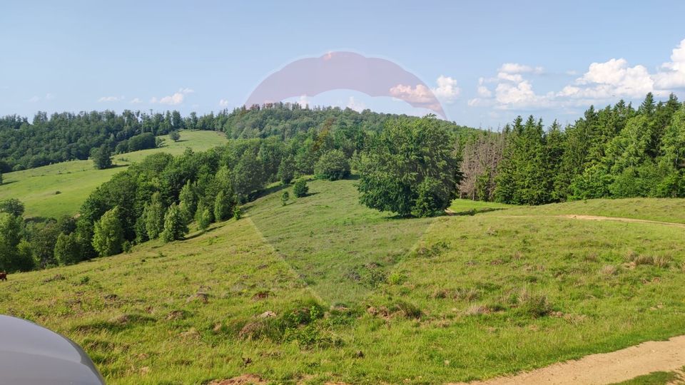 Teren 130000 mp extravilan Munteni - Bulz, Negreni