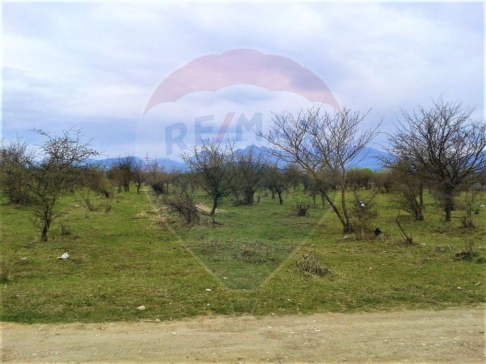 Comision 0% Teren Sanpetru- Strada Smochinului, 1109mp