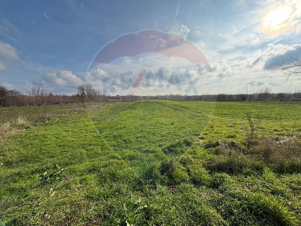 Land 7,094sqm Buftea / Strada Panselelor