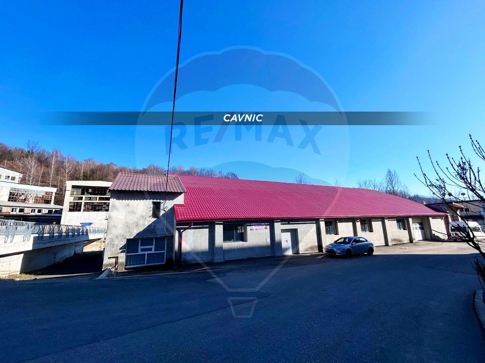 Hala industriala cu pod inalt si utilitati – OPORTUNITATE CAVNIC