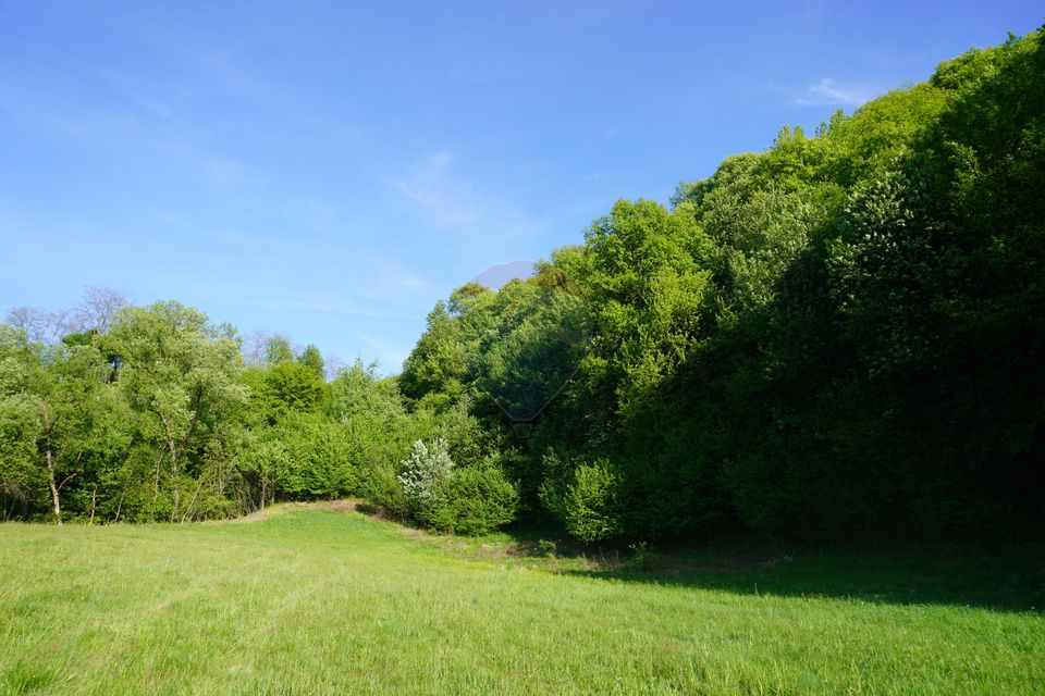 Land 33,137sqm Sighetu Marmatiei / Strada Mocăniței