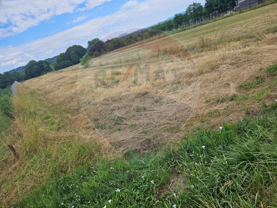 Land 1,945sqm Sarasau / Drumul PRINCIPAL