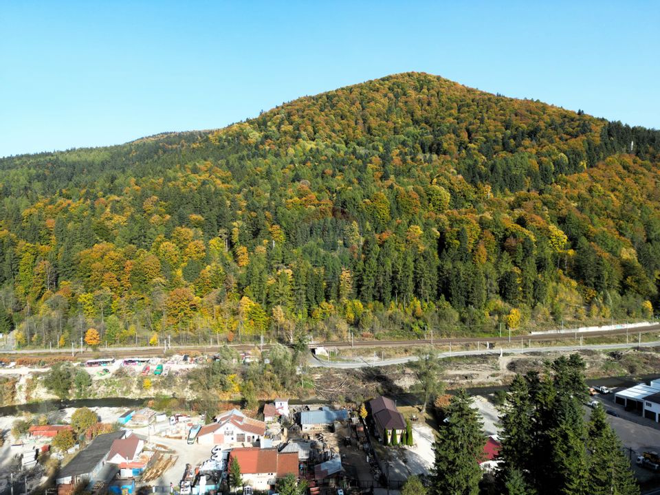 Vilă cu 7 camere de vânzare în Sinaia