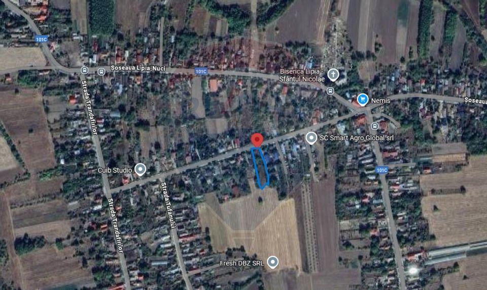 Teren 5482 mp Gruiu / Strada Matei Basarab