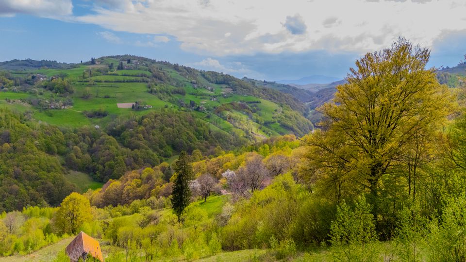 Teren 7,195mp Poiana Marului /Extravilan/Oportunitate investiție