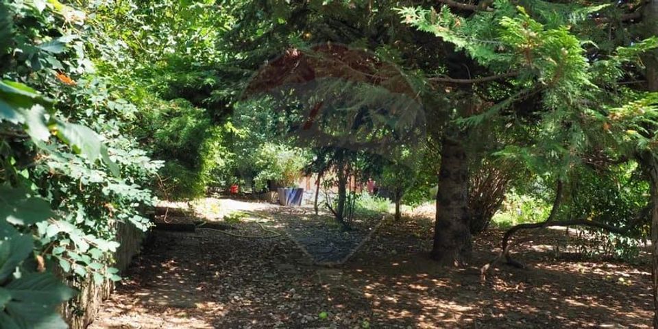 Vila la Lacul Snagov deschidere 21 ml,  ponton propriu