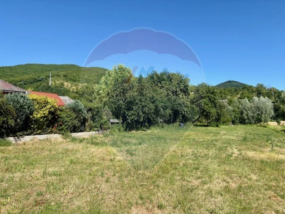 Land 3,154sqm Barsana / Intrarea principala