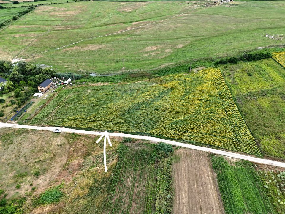 Land 3,091sqm Lilieci / Strada Tulbuc