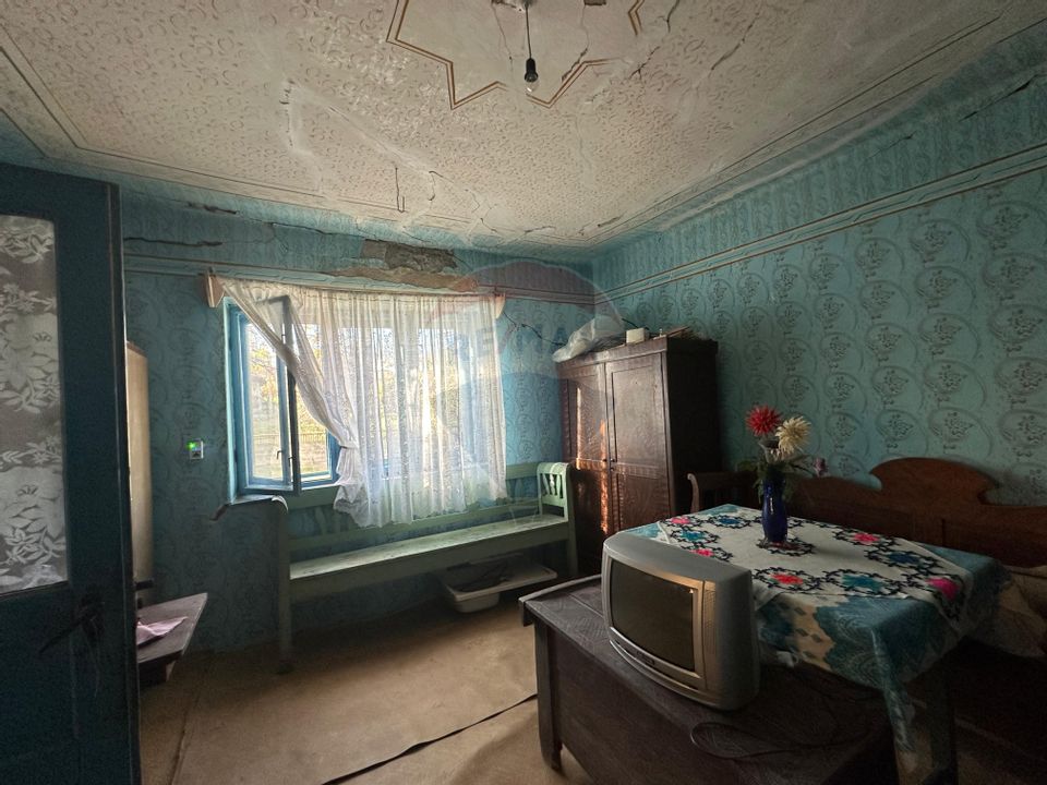 GOSPODARIE - liniste - natura - DE VANZARE