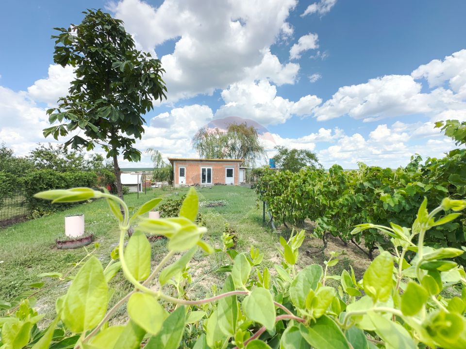 "House / Villa for sale located in Recaș, 195 sqm (built area)"