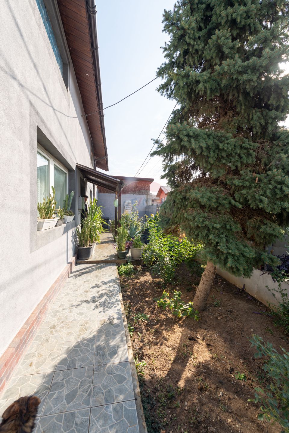 House for sale, 5 rooms, 200 sqm usable, 400sqm land,  Pantelimon