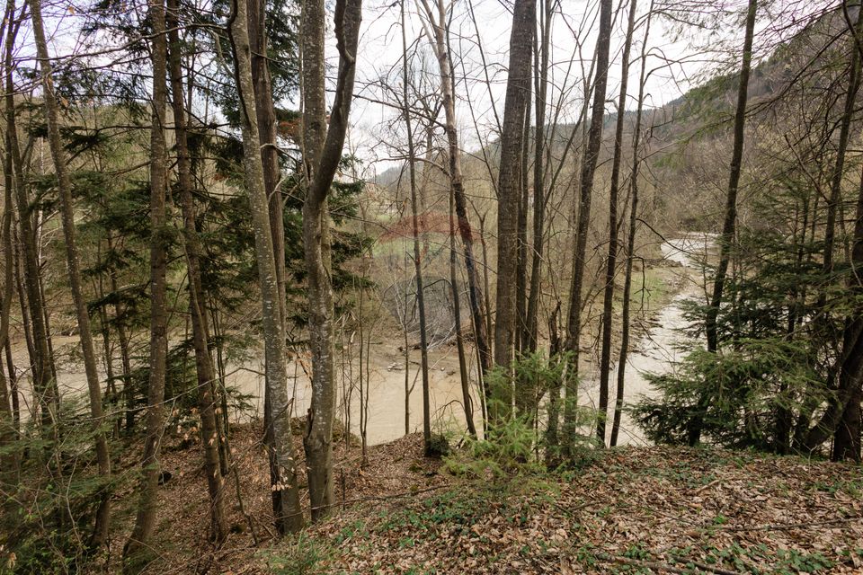 Land 30,283sqm Cazaci / Strada Principala DC 135